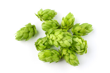 Pile of hop cone on white background. Hop ingredient for brewing beer.