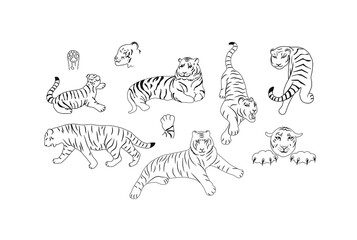 Obraz premium Set of hand drawn tiger vector skech. Outline illustration.