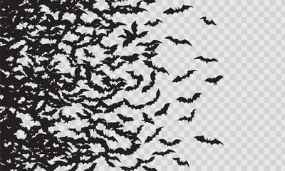 Black silhouette of flying bats flock isolated on transparent background. 