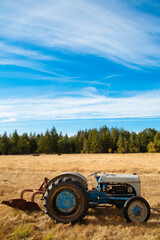 Antique tractor with plow in grass pasture with cows, forest, and blue sky. Side view, open composition, bottom-third