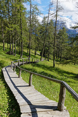 Weg auf Holzbohlen durch feuchte blühende Bergwiesen vor den Gipfeln der Sextner Dolomiten, Pustertal, Alpen, Südtirol, Italien 