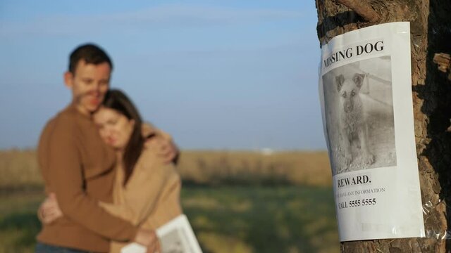 Upset couple with paper posters hugs standing in autumn park focus on report of missing dog with picture hanging on tree trunk close view