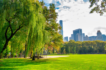 Trees and buildings from Central Park in foliage season, New York City.