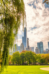 Obraz premium Trees and buildings from Central Park in foliage season, New York City.