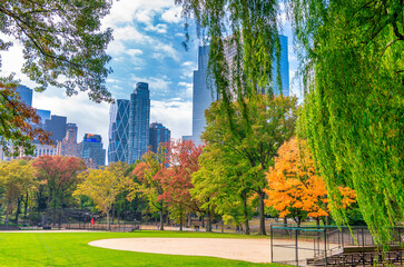 Trees and buildings from Central Park in foliage season, New York City.