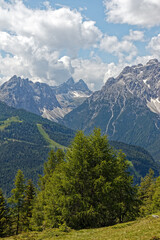 Bergwiesen und Bäume vor den Gipfeln der Sextner Dolomiten, Pustertal, Alpen, Südtirol, Italien 