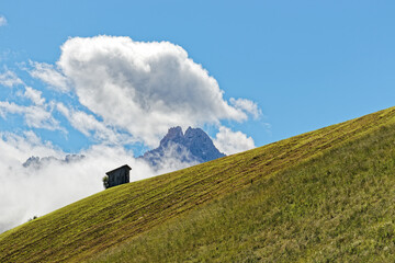 Abgemähte Bergwiesen mit dem Gipfel der Schusterspitze in den Sextner Dolomiten, Pustertal, Alpen,...