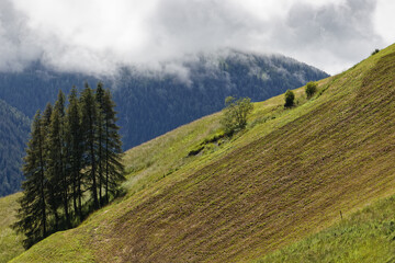 Abgemähte Bergwiesen mit dem Gipfel der Schusterspitze in den Sextner Dolomiten, Pustertal, Alpen, Südtirol, Italien 