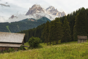 Fototapeta na wymiar Blühende Bergwiese mit einer Holzhütte vor Gipfeln der Sextner Dolomiten, Pustertal, Alpen, Südtirol, Italien 