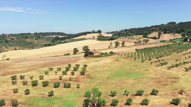 Tuscan countryside shot with drone at summer time. Aerial view of amazing wine fields country in sunny weather, arid fields,green trees,olive trees 