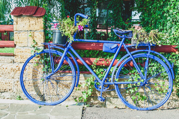 Painted purple color vintage bike with potted flower. Violet colour retro bicycle on street