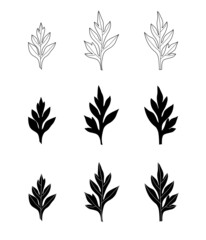 Botanicals outline and silhouette decorative pack on white