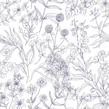 Outlined botanical pattern with wild flowers. Seamless repeating floral background with herbs print. Black and white vintage texture with herbal field plants, wildflowers. Drawn vector illustration © Good Studio