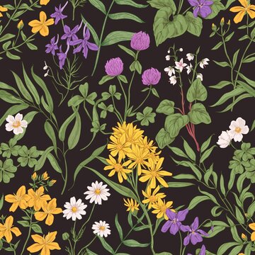 Seamless floral pattern with wild flowers and herbs. Repeating botanical background for printing. Endless retro texture with summer herbal plants and leaves. Colored hand-drawn vector illustration