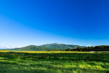 Fototapeta na wymiar 日本の秋の栗駒山と早朝の高原の牧場放牧場