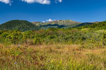 日本の秋の栗駒山とエゾオヤマリンドウの咲く世界谷地湿原