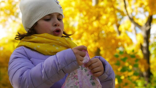 Autumn Portrait. The Child Blows His Nose Into A Handkerchief. Cold Coryza. Sunny Cool Weather.