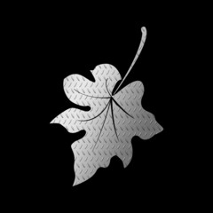 leaf on black