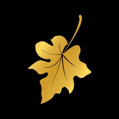 leaf on black background