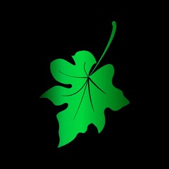 leaf clover