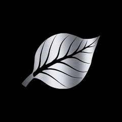 black and white feathers