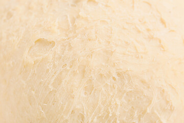 Fresh risen dough as background