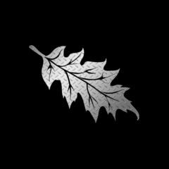 oak leaf on black