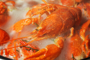 crayfish boil in boiling water, close-up, selective focus