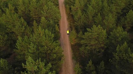 Aerial view of the wind power inspector analyzing windmill usage data - tilt, drone shot - Powered by Adobe