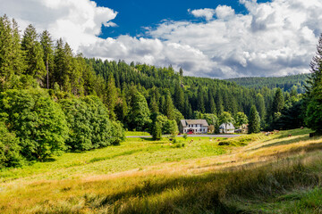 Sp&auml;tsommerwanderung durch den Th&uuml;ringer Wald bei Kleinschmalkalden