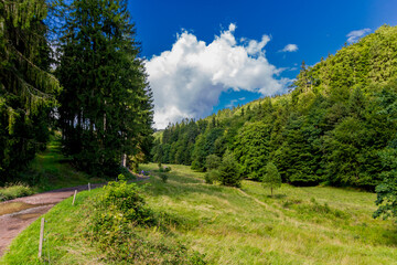 Fototapeta na wymiar Spätsommerwanderung durch den Thüringer Wald bei Kleinschmalkalden