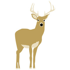 Minimal modern style vector graphic illustration of a male deer stag with light brown or beige fur