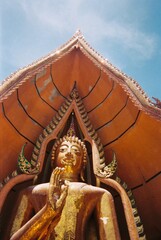 Fototapeta premium golden buddha statue