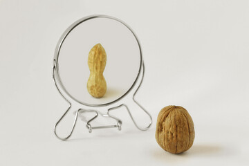 Walnut looking in the mirror and seeing itself as a peanut - Concept of dysmorphobia and distorted self-image