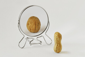 Peanut looking in the mirror and seeing itself as a walnut - Concept of dysmorphobia, anorexia, distorted self-image - 460055536