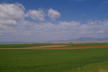 Paisaje de viñedos en invierno de La Rioja Alta.