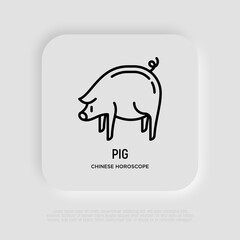 Cartoon pig thin line icon. Modern vector illustration for Chinese horoscope.