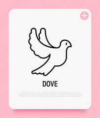 Flying dove thin line icon. Pigeon. Modern vector illustration for logo.