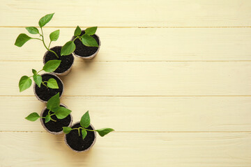 Plants seedlings in peat pots on color wooden background