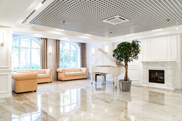 hall with grand piano, fireplace, leather furniture and tree in a pot.