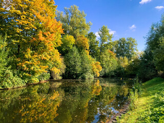 Fototapeta na wymiar Autumn trees with colorful leaves, reflection on the pond, autumn park