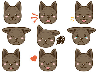 Fototapeta premium 甲斐犬（赤虎毛）の表情顔アイコン