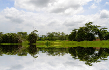 Obraz na płótnie Canvas lake green , acarigua state , Venezuela