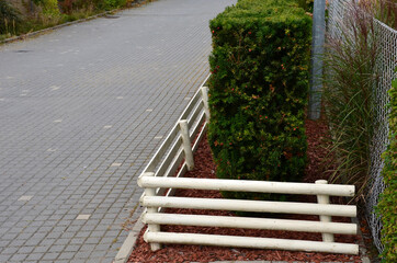yew hedge with a fence made of white wooden poles. protection against urinating dogs. cut into a rectangular rectangle. evergreen smooth conifer, coloured wood chips mulch. concrete street tiles