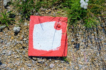Marked measuring point in red and white for land surveying