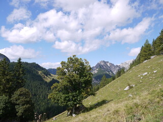 Die Kammerlingalm