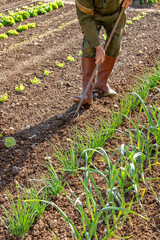 Entretien d'un jardin