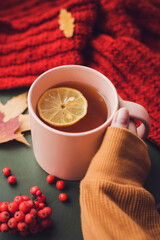 Cup of hot tea with lemon in woman's hands holding it over wooden autumn background with leaves and plaid Top view. Warm drink concept.