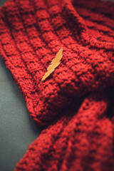 Red knitted scarf with an autumn leaf. The concept of warmth and comfort