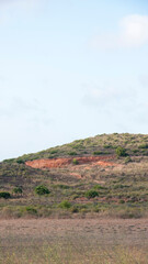 Monte rocoso y pinos en paisaje mediterraneo